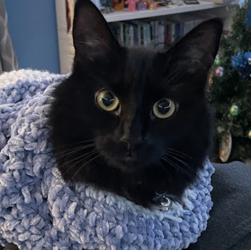 Meet your Posher, Stella